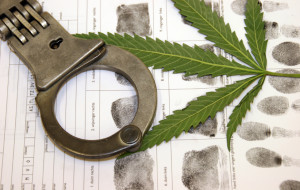 Alabama Marijuana Trafficking Charge